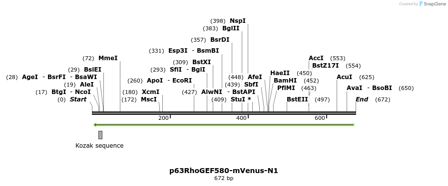 168581_map
