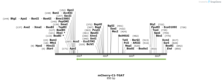 168638_map