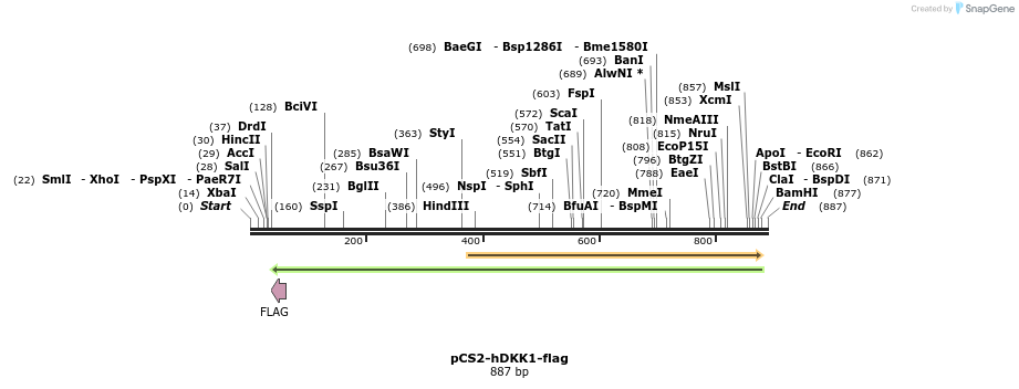 168698_map