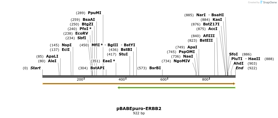 168699_map