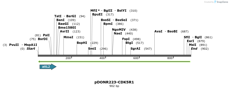 168705_map