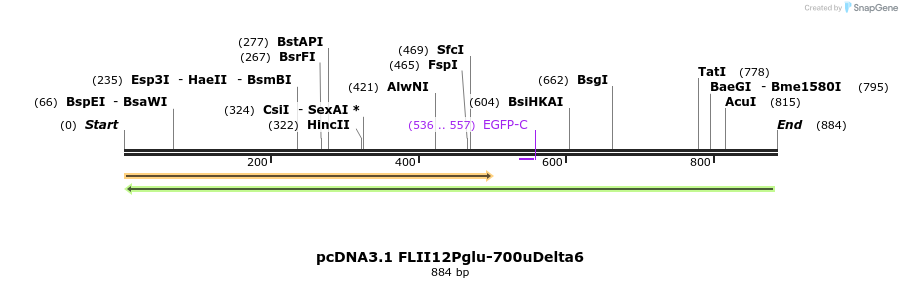 168707_map