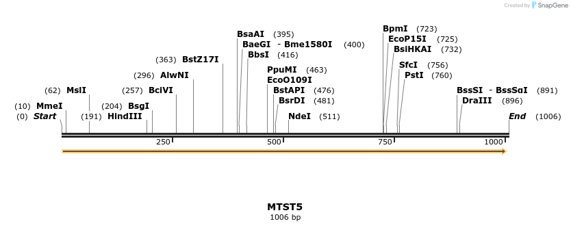 168791_map