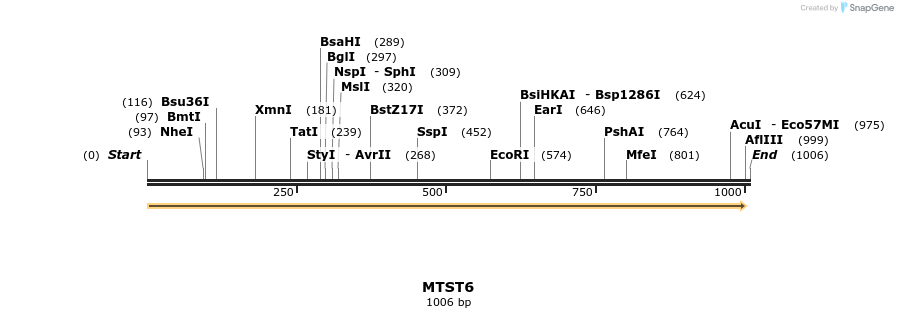 168803_map