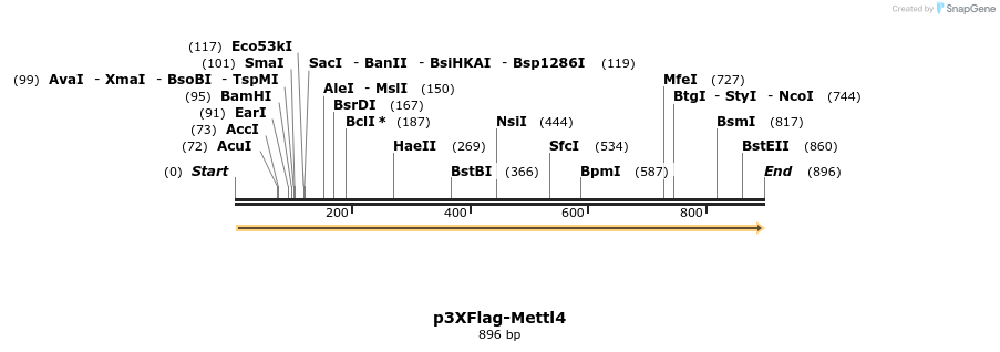 168949_map