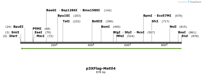 168950_map