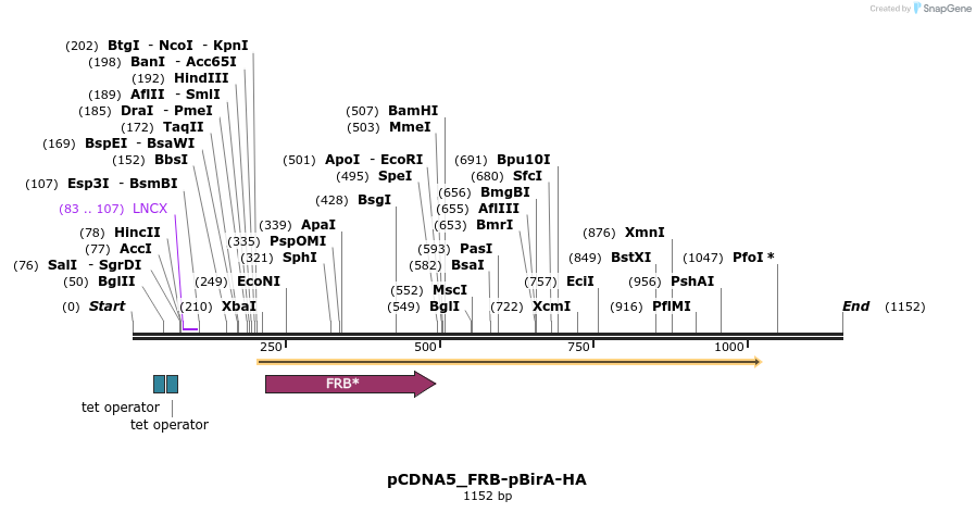 168984_map