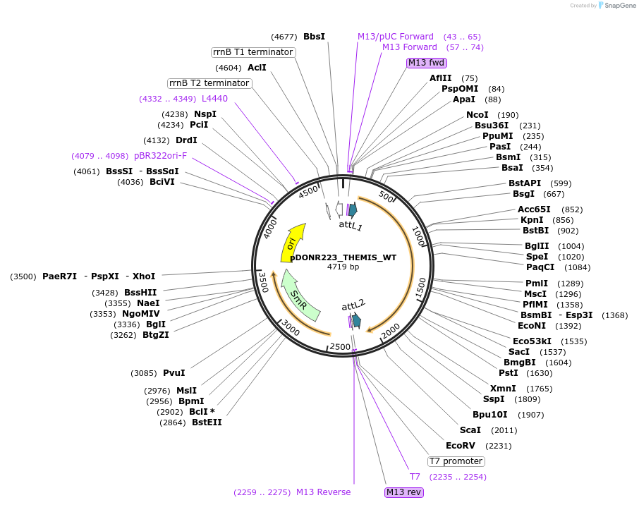 169015_map