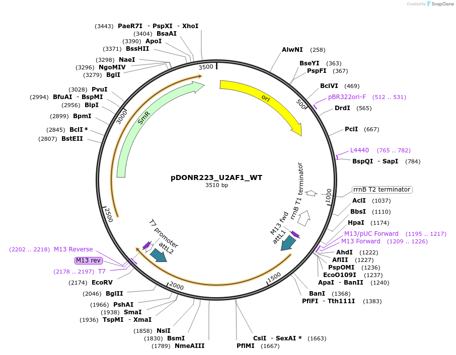 169030_map
