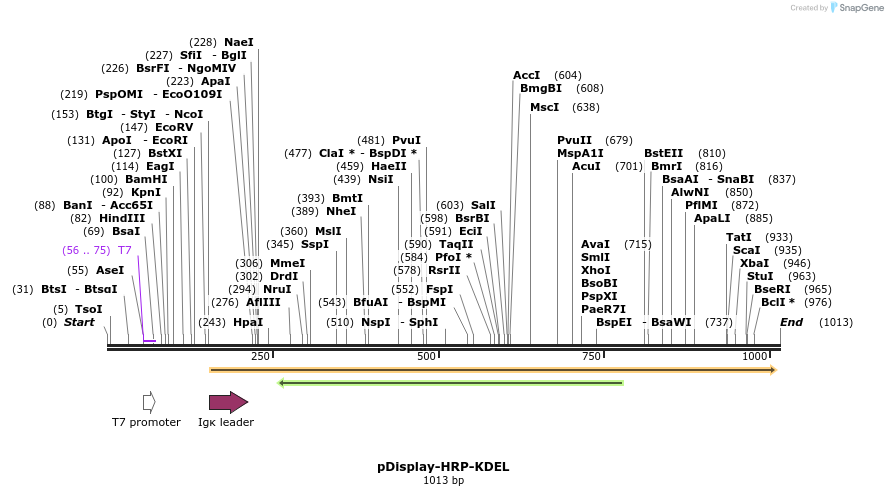169040_map