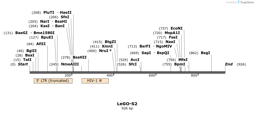 169042_map