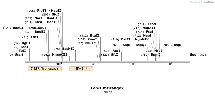 169045_map