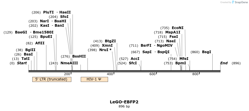 169050_map