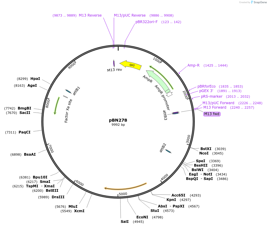 169065_map