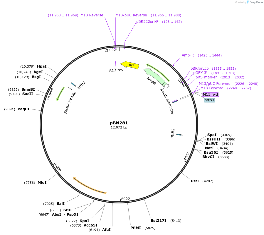 169067_map
