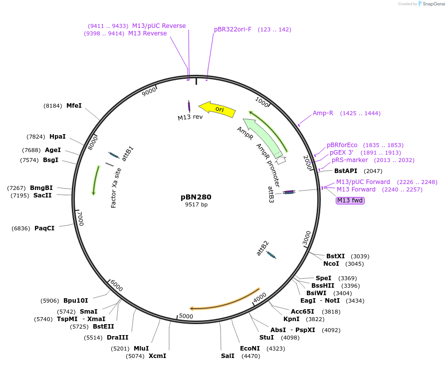 169072_map