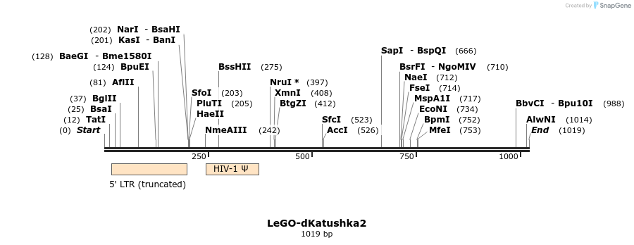 169094_map