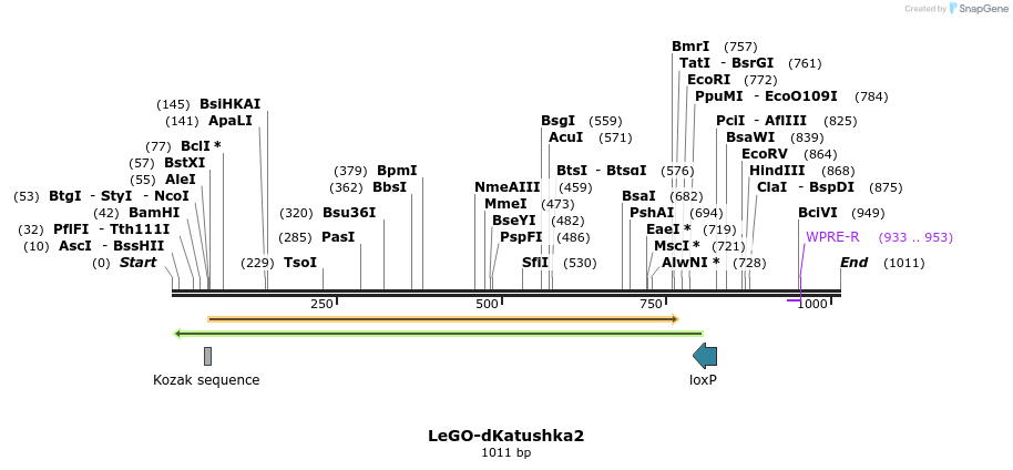 169097_map