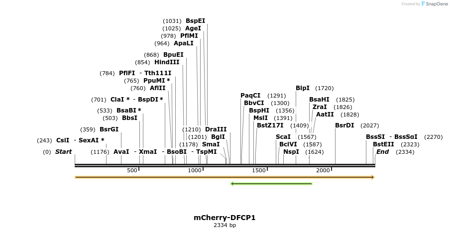 169102_map