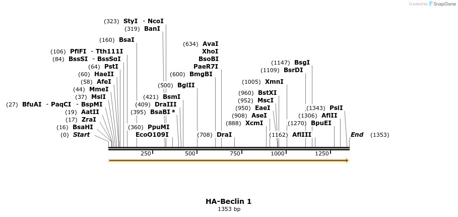 169104_map