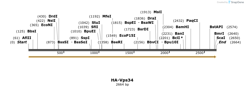 169105_map