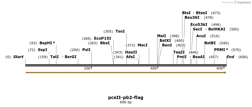 169109_map