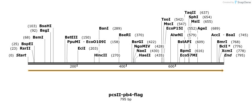 169111_map