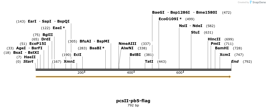 169112_map