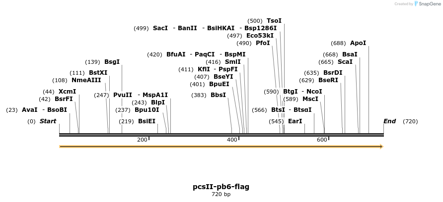 169113_map