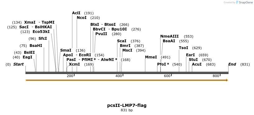 169116_map