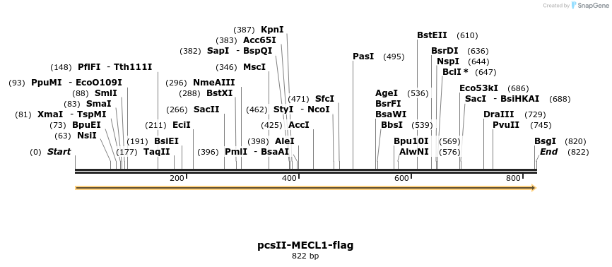 169117_map