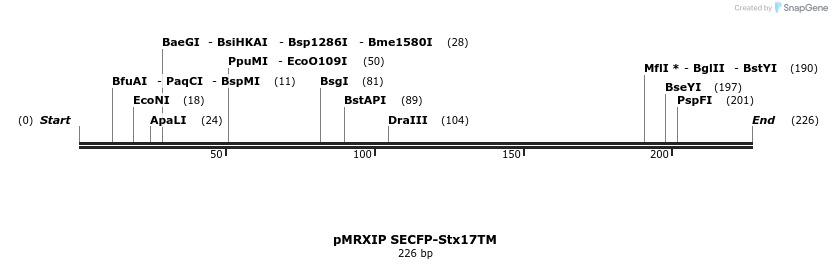169164_map