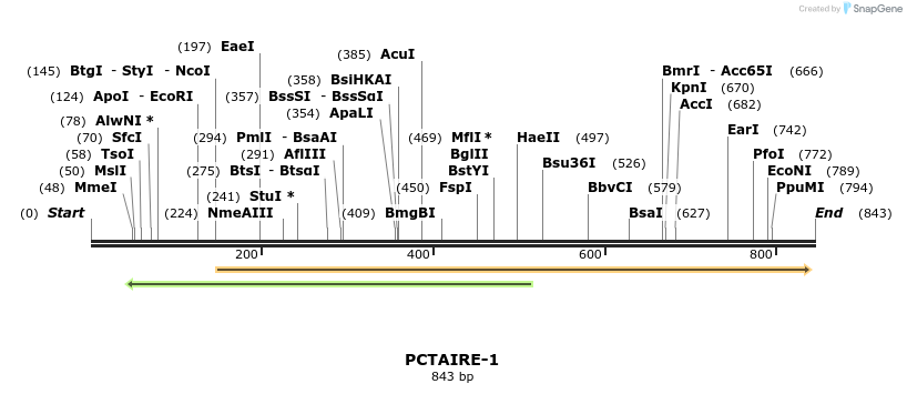 16917_map