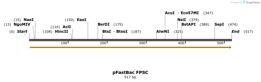 16919_map