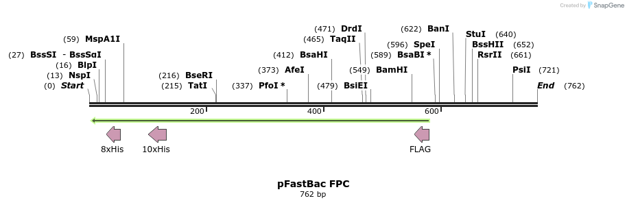 16920_map