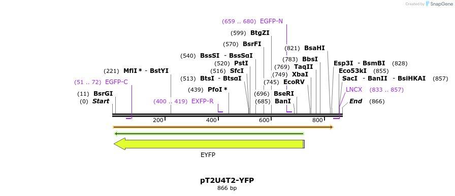 169201_map