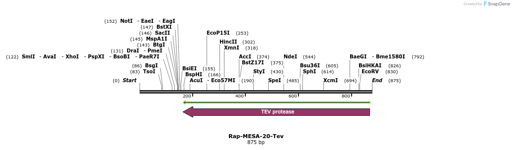 169204_map