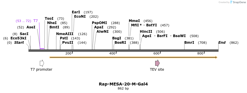 169205_map