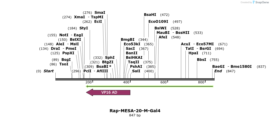 169206_map