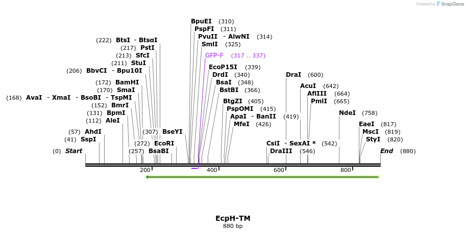 169208_map