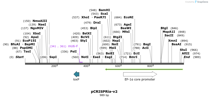 169213_map
