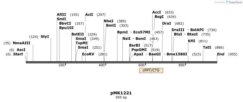169214_map
