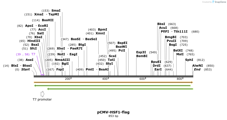 16922_map