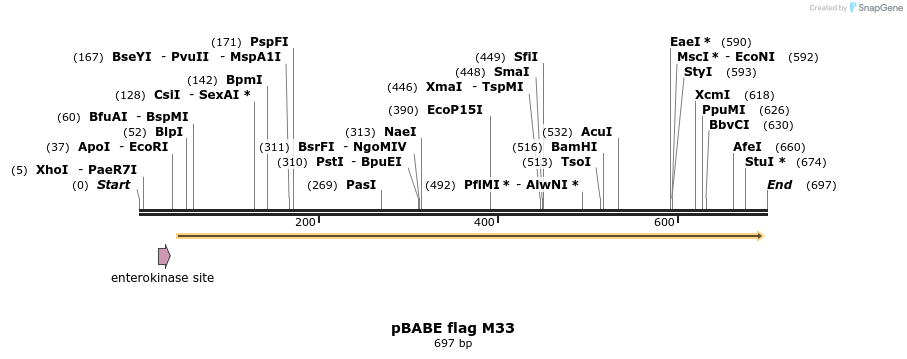 16923_map