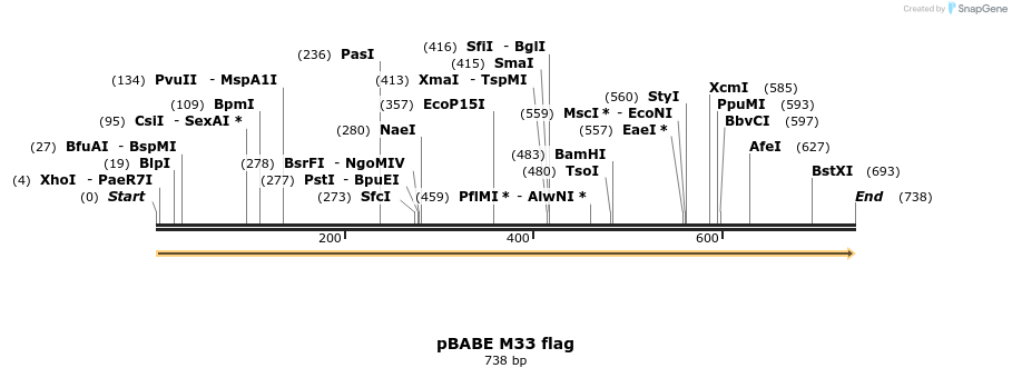 16924_map