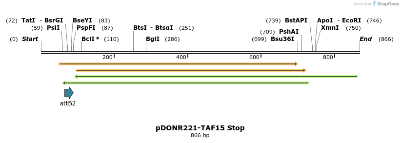 169283_map