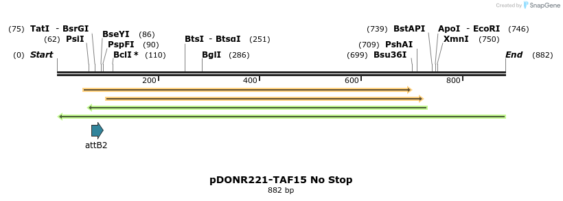 169288_map