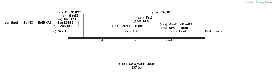 169294_map