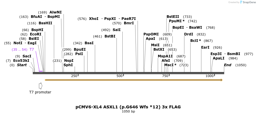 169309_map