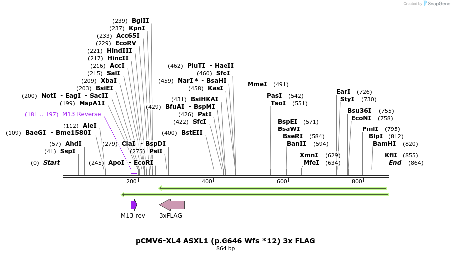 169312_map